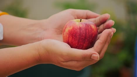 closeup of female hand holding an fresh apple in hand as a precious fruit because of its health benefits, apple in hand