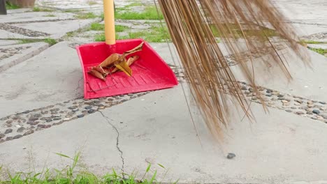 close up sweeping dry leaves