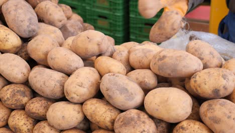 a large pile of potatoes at a farmers market