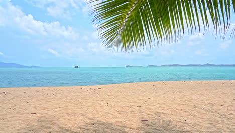 Insel-Strand-Vorlage-Kopierraum