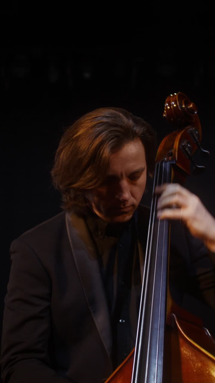 contrabajista en concierto