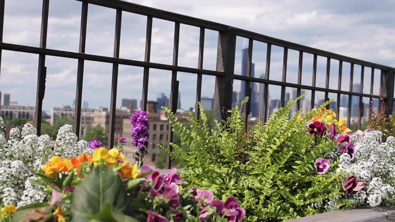 Balcony garden with cityscape view