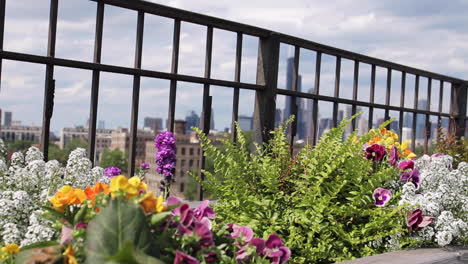 balcony garden with cityscape view