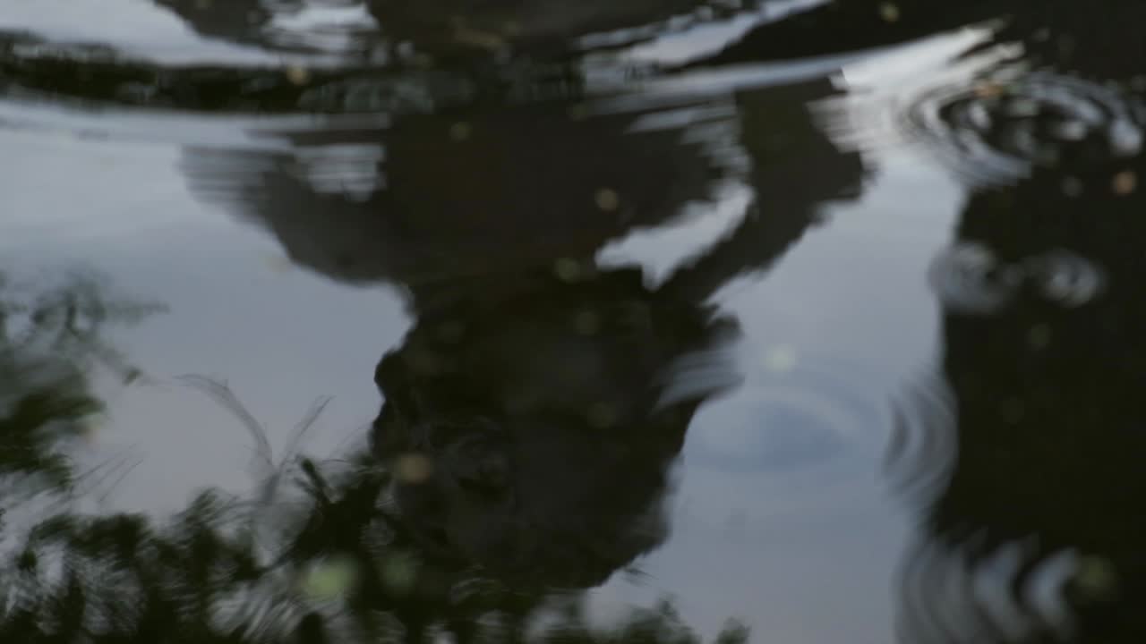reflejo de la estatua de piedra clásica que se refleja en el agua de la fuente salpicada ondulante a cámara lenta