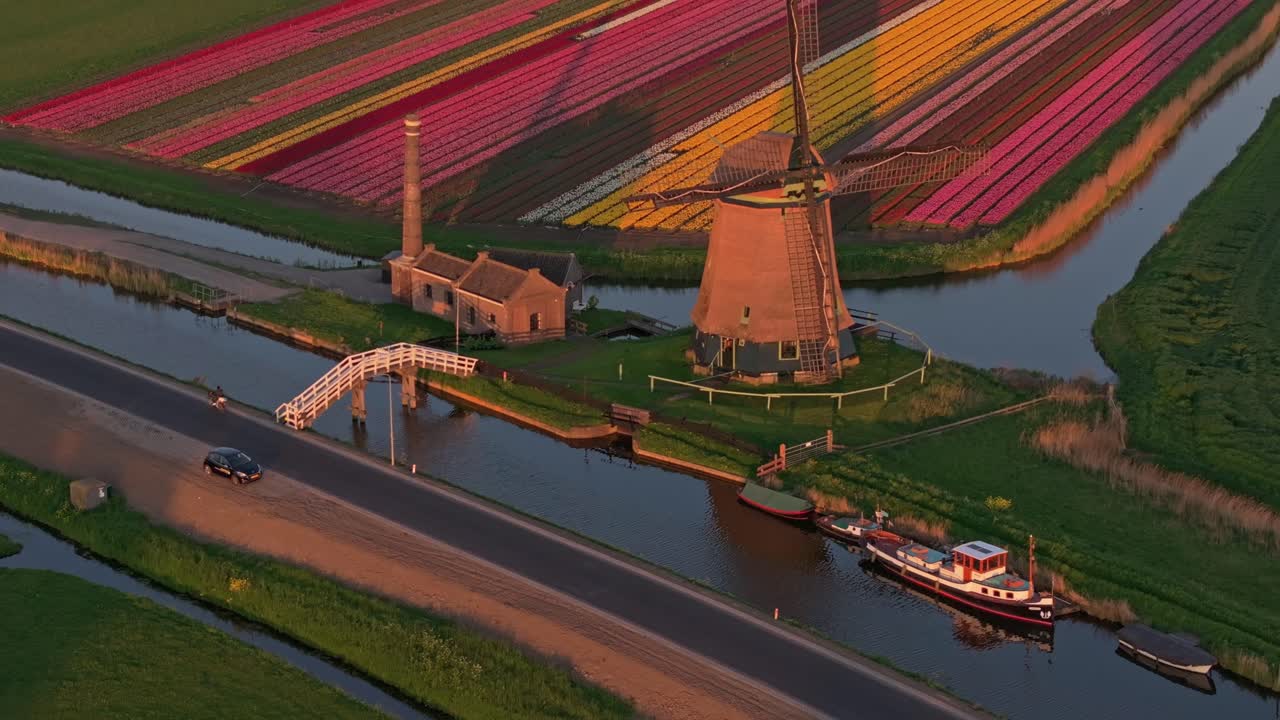 Luftaufnahme von Tulpenfeldern am Kanal und sich drehender Windmühle bei Sonnenuntergang