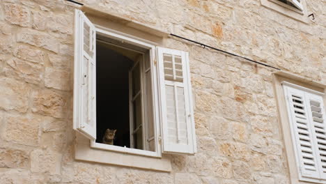 Offenes-Fenster-Eines-Steinhauses-Mit-Süßer-Katze,-Die-Nach-Draußen-Schaut