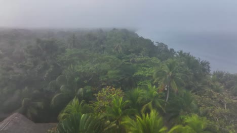 aerial view of dense fog and humid weather on tropical island coast, palm trees, vacation homes and beach, drone shot