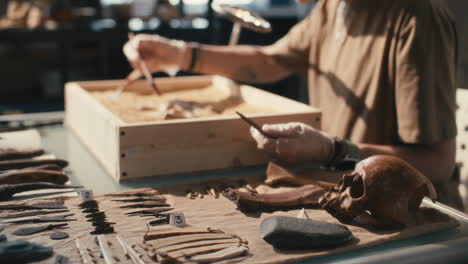 labeled artifacts on laboratory table during archaeological research