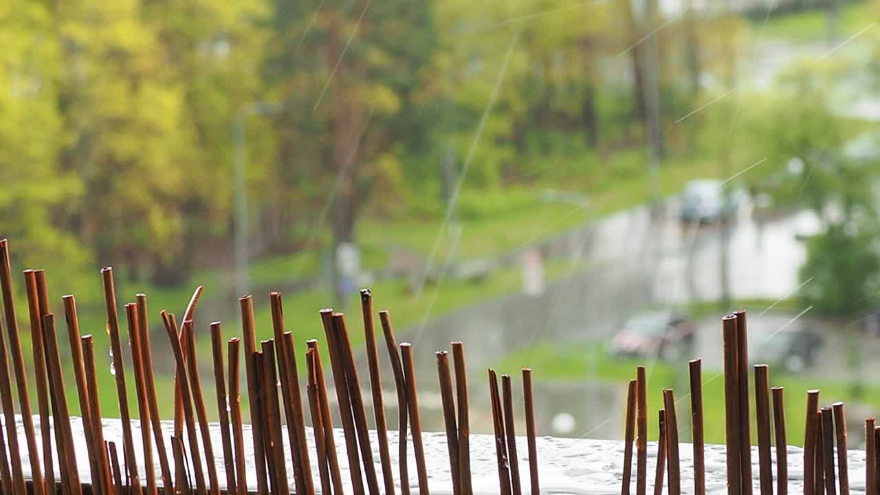 도시에서 비가 오는 날