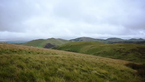 sheep grazing in the distance in the pentland hills, scotland