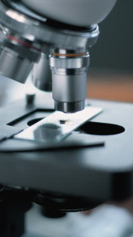 vista de cerca de una muestra en una diapositiva con un microscopio