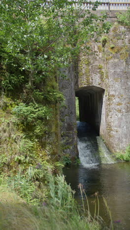 water flowing through a concrete tunnel under a bridge with lush greenery