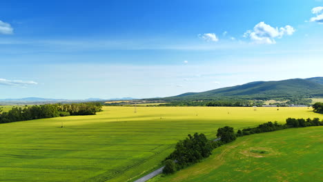 green fields stretch over rolling hills. expansive green fields extend across the landscape under a bright blue sky with fluffy clouds in the distance