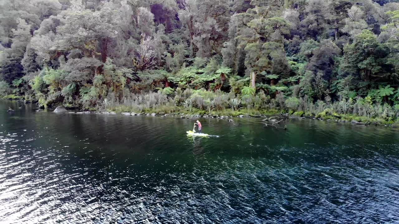 Ripresa in movimento di un uomo che fa paddleboarding su un lago remoto, circondato da una fitta foresta pluviale primordiale.