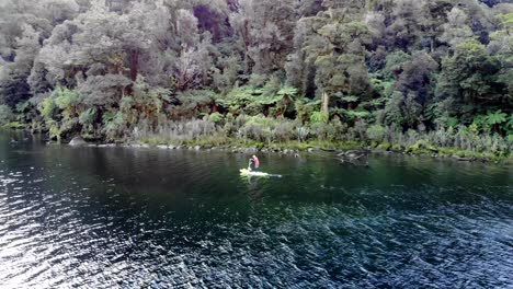 Tracking-shot-of-man-paddle-boarding-on-remote-lake-engulfed-by-think-primeval-rainforest