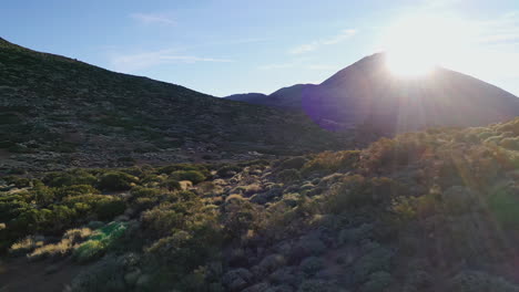 man walking amongst the bushes on the hills below the pico de teide mountain on canary islands with the sun shining behind its summit. man walking on the hillside of pico de teide on a sunny day 4k.