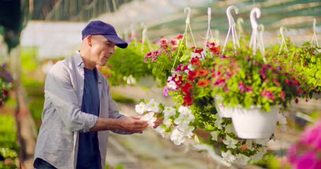 jardinero de sexo masculino confiado que examina la planta de flor en maceta 2