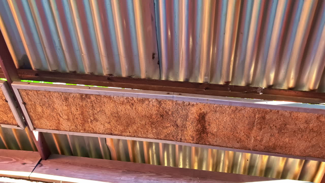 Balcony Railings and Apartment Exterior View in Urban Residential Building