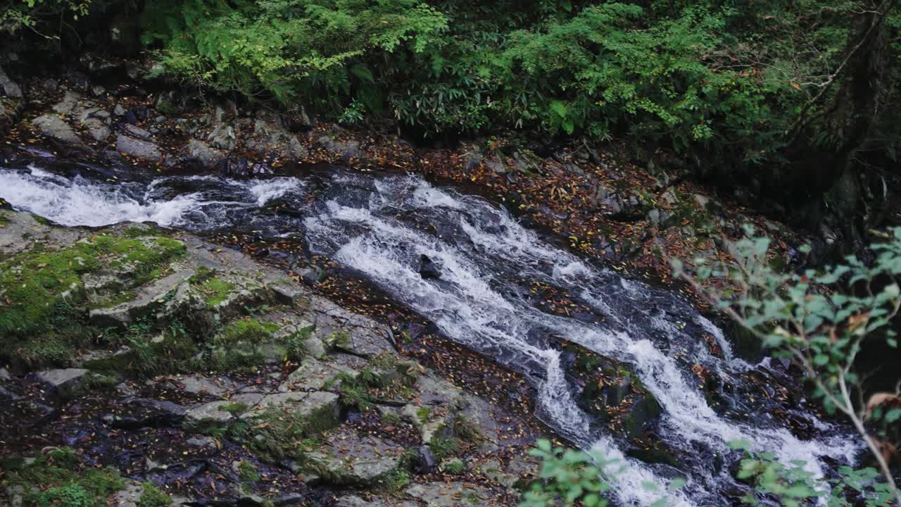 Pure Mountain Stream Flowing from the Amidaga Falls in Gujo, Rural Gifu Japan