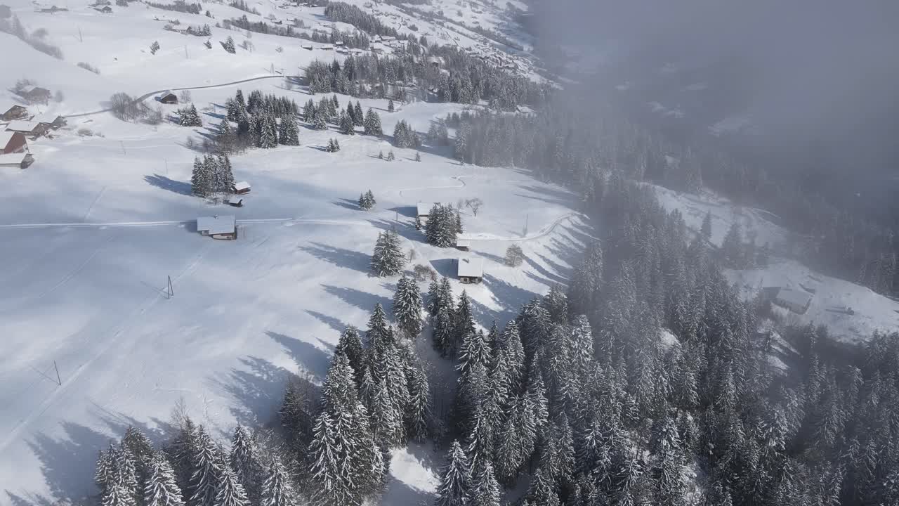 pintoresco paisaje alpino con bosque de coníferas que crece en la ladera nevada de la montaña