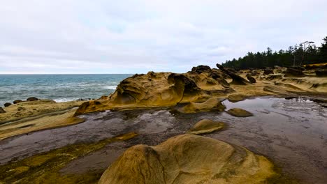 rugged coastline with unique rock formations and tidal pools