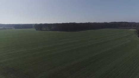 Slow-moving-drone-shot-towards-trees-above-agriculture-fields