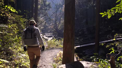 Beautiful-light-flooded-valley-with-small-river,-bridge-and-male-hiker