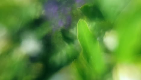 mesmerizing dreamy abstract flowing flowers and leaves background with stunning green and blue soft pastel colors moving and blending across in parallax slow motion