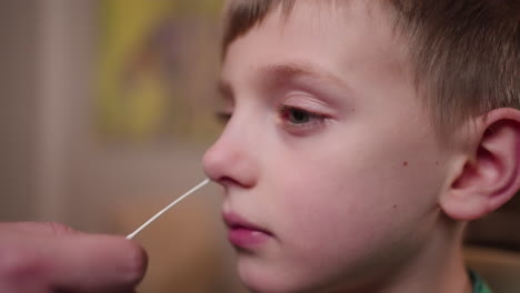 a little boy gets an at home covid-19 rapid antigen nasal swab test