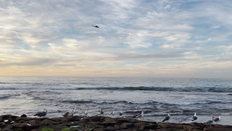 helicopter flying in sky with seagulls and ocean at sunset