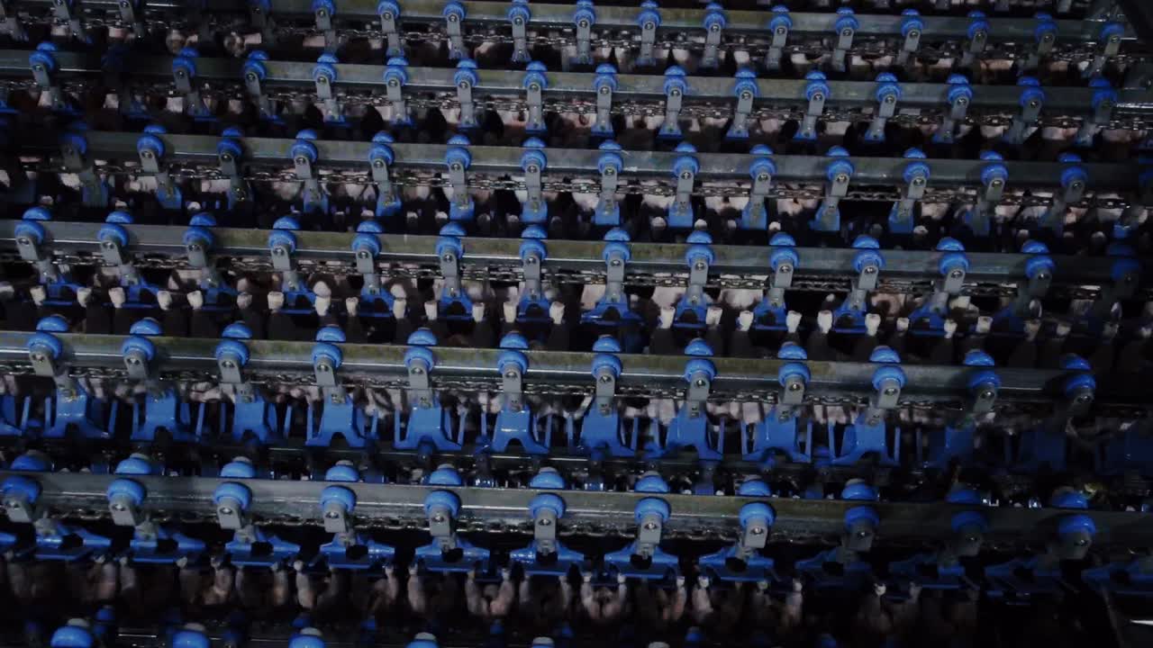 Multiple layers of chicken carcasses travel through cooling system poultry plant