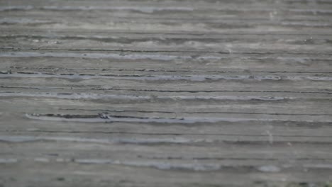 rain fell slowly on the surface of the cemented road