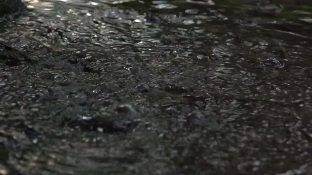 Gas bubbling up of a pond. Slow motion