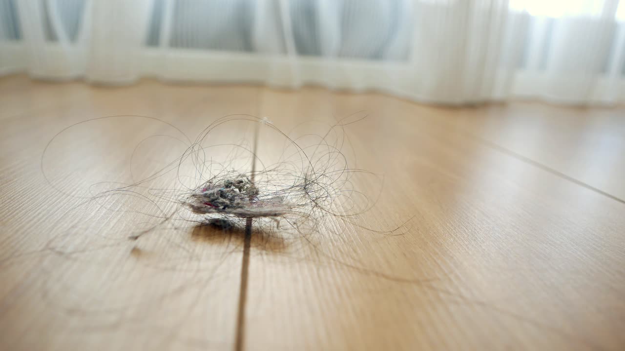 나무 바닥에 먼지와 머리카락