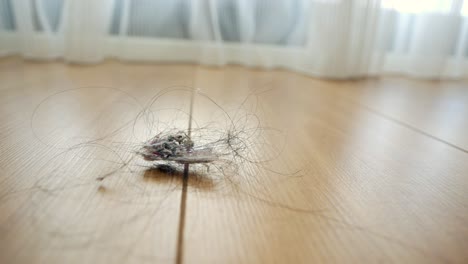 polvo y pelo en el suelo de madera