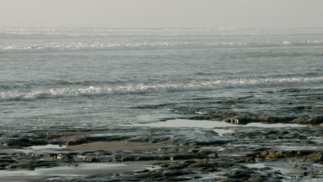 Una-Vista-De-Una-Playa-Cerca-De-Encinitas,-California