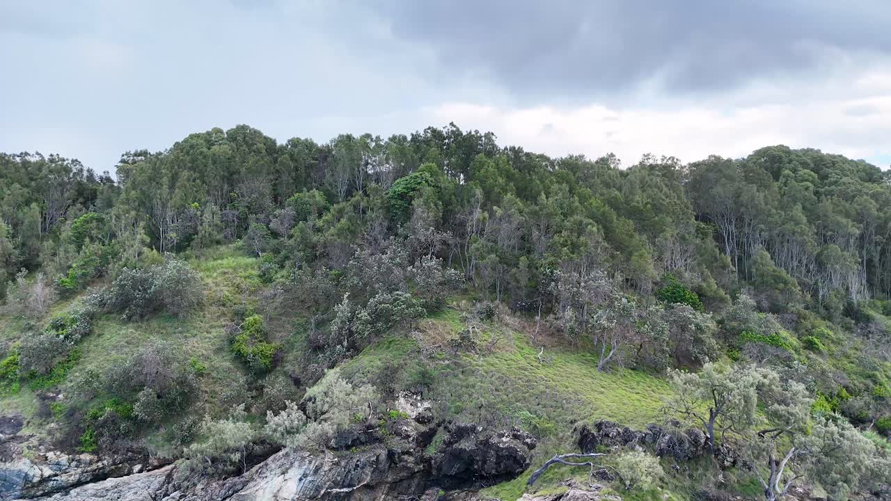 Drone footage captures a verdant forest atop cliffs, transitioning to a rocky shoreline under overcast skies