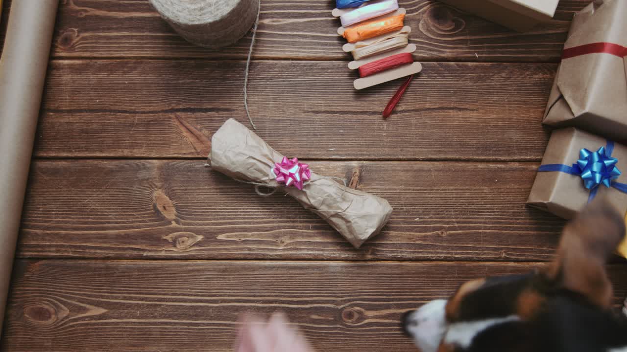 애완동물용 를 풀어주는 수확 손