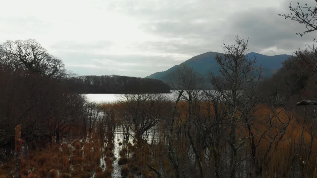 Killarney National Park in the Winter