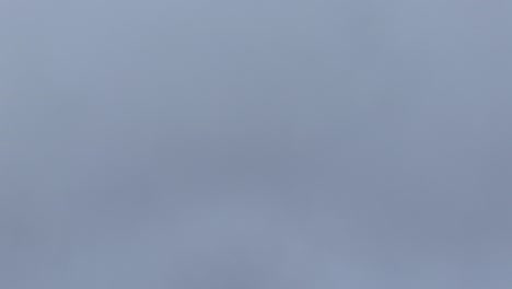 una manta de densa niebla blanca cubre el suelo