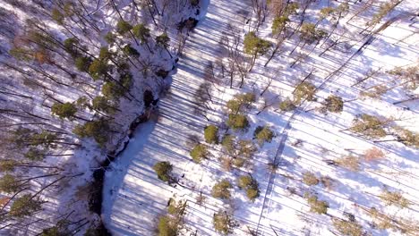 4k aéreo. volar con círculos y levantarse alrededor de la madera de invierno con río congelado. vista superior