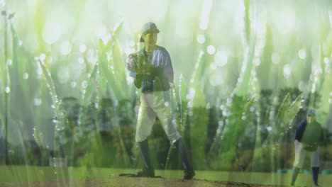 animation of grass over caucasian female baseball player