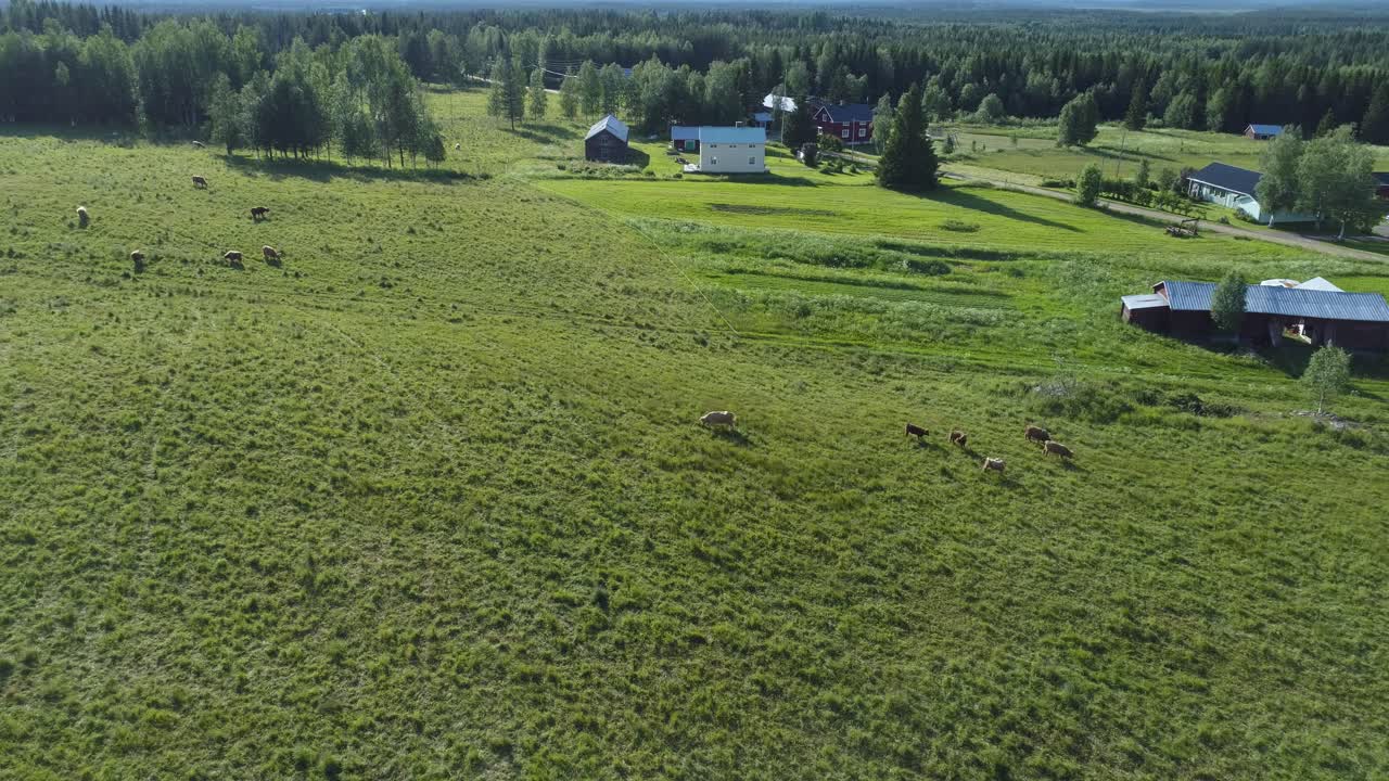 foto tomada con un dron de un corral grande con algunas vacas