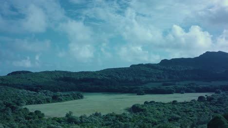 Nature-landscape,-forest-view-in-wide-angle