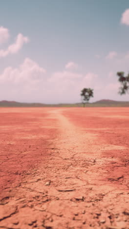 camino de tierra roja en el interior de australia