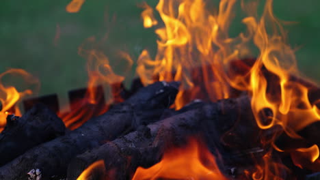 hot fireplace full of wood. close up shot of fire flame texture background