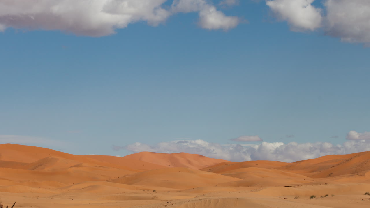 메르조가 사막 24