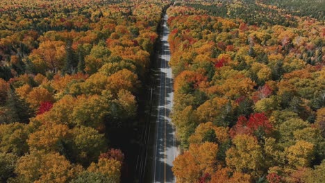 empty road amid the colorful trees with fall foliage