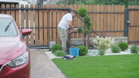 man trimming topiary tree in backyard garden for landscaping and maintenance