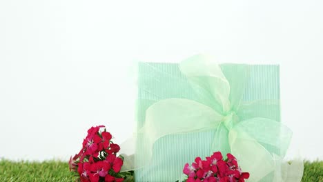 Gift-box-with-flowers-on-grass